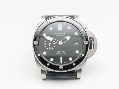 PN1288TNY watch cover